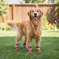 Bottes d’hiver imperméables et antidérapantes pour petits et grands chiens