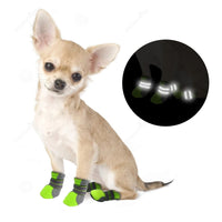 Un petit chien assit sur ses pattes portant des chaussures de couleur gris et vert et une image indiquant les bandes réfléchissantes à côté de lui, le tout sur un fond blanc