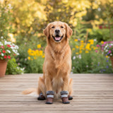 Bottes d’hiver imperméables et antidérapantes pour petits et grands chiens