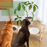 Porte gamelle pour chien en bambou ajustable
