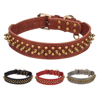 Collier à rivets dorés pour chien