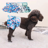 Couche pour chien femelle