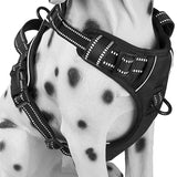 Harnais anti-traction noir porté par un Dalmatien, sur un fond blanc