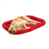 Un chien qui dort sur un coussin en velours rouge sur un fond blanc