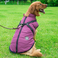 Manteau harnais imperméable pour chien en coton