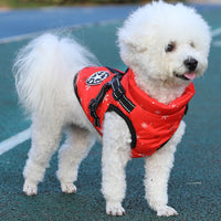 Manteau Imperméable Chien D'hiver Avec Harnais - Coupe-vent, Réfléchissant, Réglable, Pour Petites à Grandes Races - 1