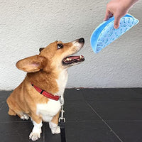 Frisbee souple en caoutchouc pour chien