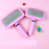 Brosse de toilettage poil court pour chien