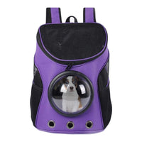 Un petit chien de race Jack Russell dans son sac à dos de transport pour chien de couleur violet sur un fond blanc