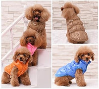 Cinq petit chiens marrons mettant des doudounes pour chiens à manche courtes de quatre différentes couleurs (orange, rose, bleu et marron)