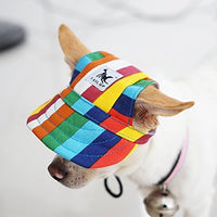 Chien blanc portant un collier grelot mettant la casquette pour chien style baseball à motif multicolore