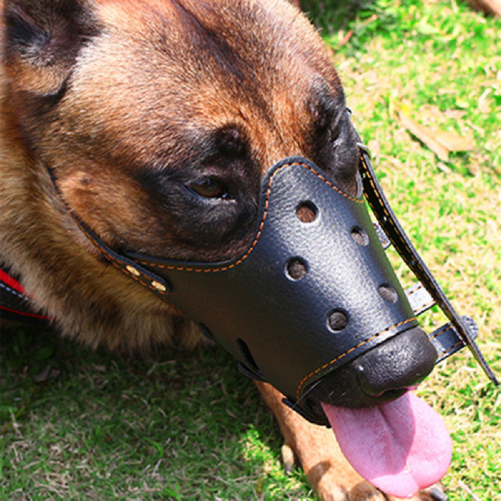 Muselière de frappe standard pour chien Taille 4
