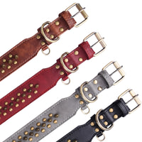 Collier à rivets dorés pour chien