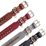 Collier à rivets dorés pour chien