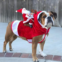 Costume festif à thème Noël pour chien