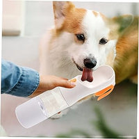 Un chien qui boit son eau avec une gourde de couleur blanche sur la main d'une personne