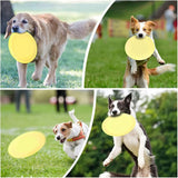 Frisbee d'entrainement pour chien