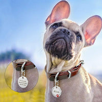 Un chien qui porte un collier avec une médaille personnalisable avec motif de patte de chien de couleur rouge 