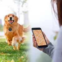 Traceur bluetooth GPS rond pour chien
