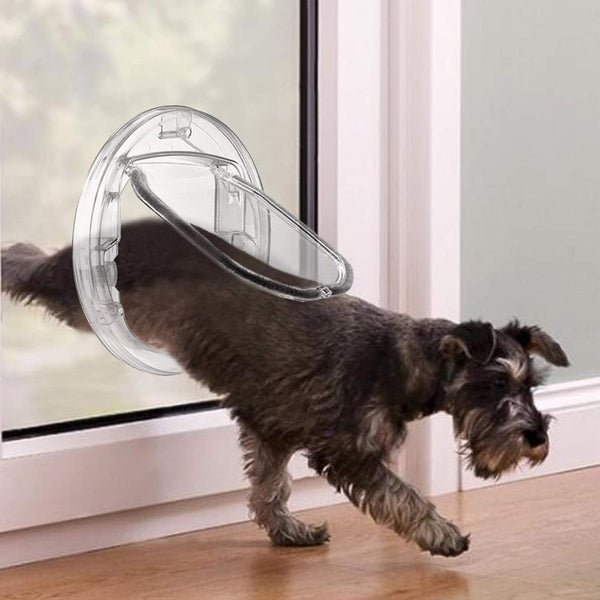 Un chien de couleur noir qui sort d'un chatière pour chien transparente sur la porte les deux pattes avant sont sortie