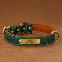 Collier pour chien en cuir personnalisable