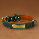 Collier pour chien en cuir personnalisable