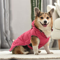 Manteau pour chien d'hiver