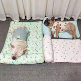 Deux chiens qui dorment sur leurs tapis respectifs. L'un sur un tapis vert et l'autre sur un tapis bleu. 