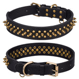 Collier à rivets dorés pour chien