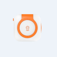 Collier GPS étanche pour chien