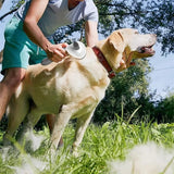 Un grand chien se faisant brosser les poils avec la brosse pour chien