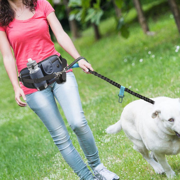Une femme avec la ceinture canicross tenant la laisse de son chien blanc, avec de la verdure en fond
