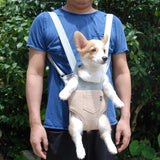 Un chien qui est porté dans un sac ventral de couleur beige sur le ventre de son maitre portant un T-shirt bleu et un pantalon noir