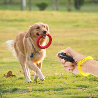 Un chien de race labrador qui apporte son jouet en courant vers son propriétaire qui tient un clicker noir sur sa main