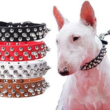 Collier clouté pour chien stylé