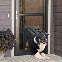 Un chien qui sort de sa chatière par une porte moustiquaire près d'une fleur devant la maison