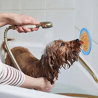 Un chien de couleur marron qui prend son bain et léchant un tapis collé sur un mur blanc