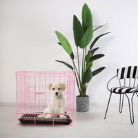Un chiots de couleur blanc dans sa cage de couleur rose et une plante et une chaise sont derrière le chien