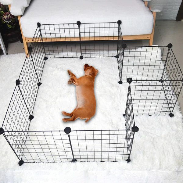 Un chien de couleur marron qui s'allonge dans son enclos sur un tapis blanc doux et moelleuse dans un salon