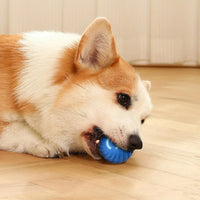 Balle interactive pour chien intelligente