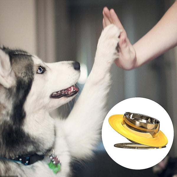 Un chien de race Husky qui lève la patte pour donner une tape sur une main humaine avec une gamelle en jaune à côté de lui.