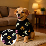 chien beige assis sur un tapis portant un pull polaire noir à motifs d'os et de pattes colorées