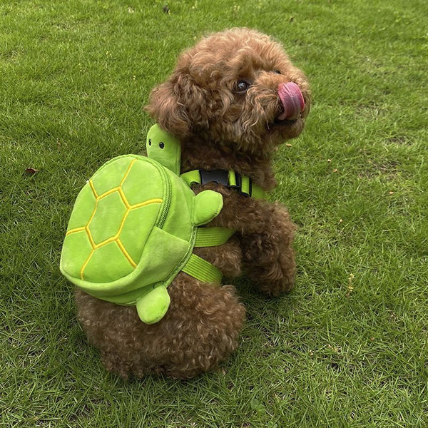 Un petit chien de couleur marron qui se lèche le nez assit sur une pelouse portant un sac à dos en forme de tortue.