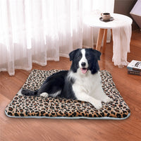 Un chien de race Border collie qui s'allonge sur un tapis de motif léopard dans une chambre sur le parkex devant un rideau blanc et une table basse.