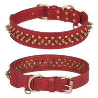 Collier à rivets dorés pour chien