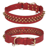 Collier à rivets dorés pour chien