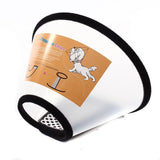 Collerette post-opératoire pour chien