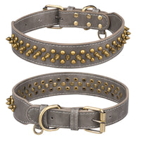 Collier à rivets dorés pour chien