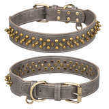 Collier à rivets dorés pour chien