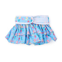 Couche pour chien femelle